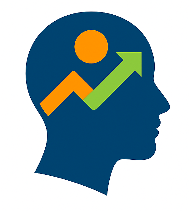 IDEPO – DESENVOLVIMENTO COMPORTAMENTAL E PERFORMANCE ORGANIZACIONAL